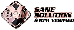 Sane Solution verified